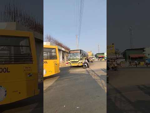 TNSTC Villupuram Bus #shorts