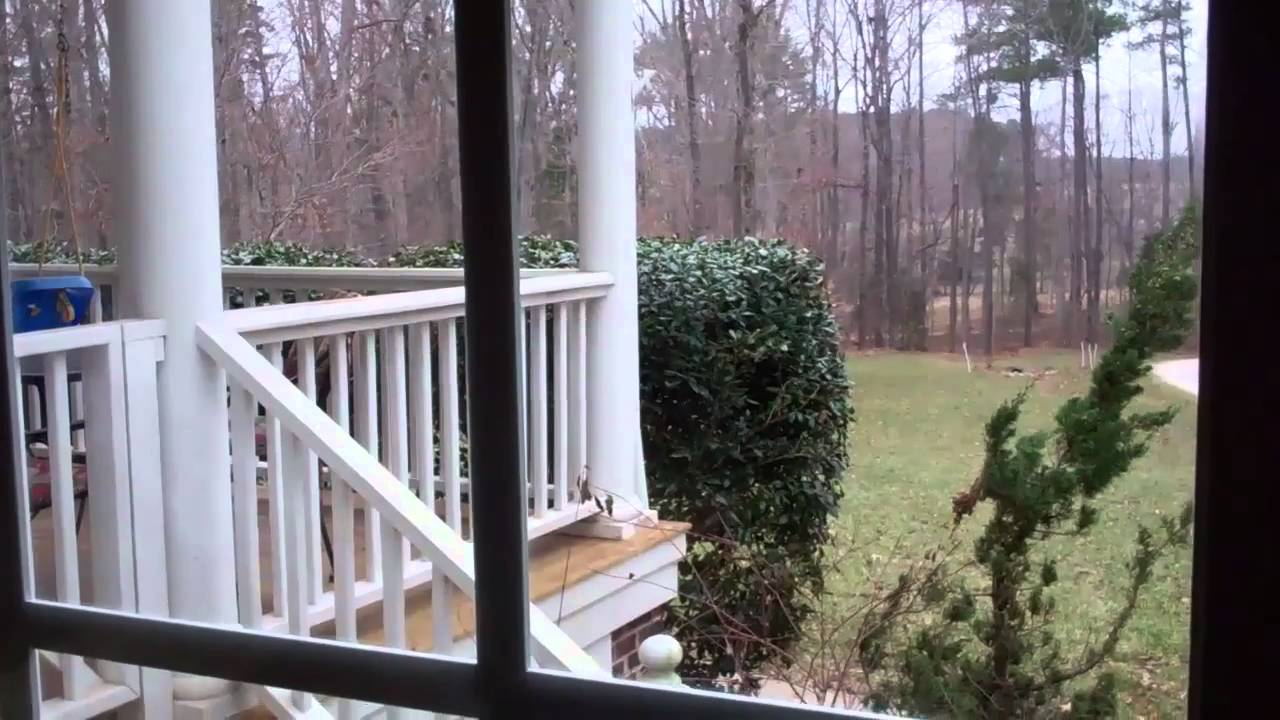 Fleet Kleen Used as GP/Window Cleaner 1:100 dilution