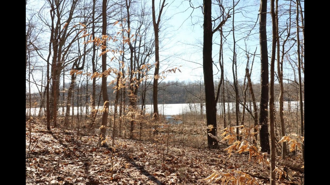 4 Long Lake Drive Cassopolis, MI Homes for Sale