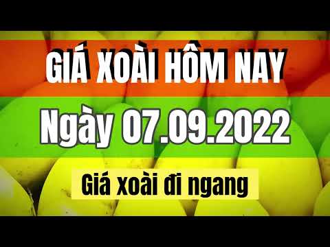 Video Giá xoài các loại hôm nay ngày 07.09.2022 | Giá cả thị... - youtube