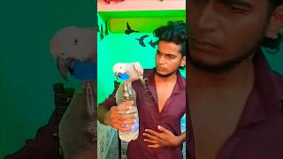 angrybird VLOGGER.... #comedy #tamil #birdtrend #motivacional #views_viral_video_subscribers_grow
