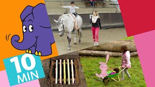 Hallo Elefant - Mert Lernt Voltigieren & Kettenreaktion Mit Elefant Und Hase Der Elefant  Wdr