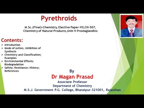 Video: Pyrethroids Bandia. Sehemu 1