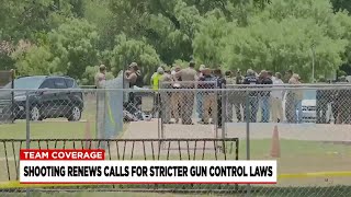 Texas school shooting renews gun control debate