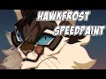 Hawkfrost speedpaint