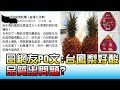 日臉書網友PO文:台鳳梨好酸 品質出問題? 國民大會 20210319 (4/4)