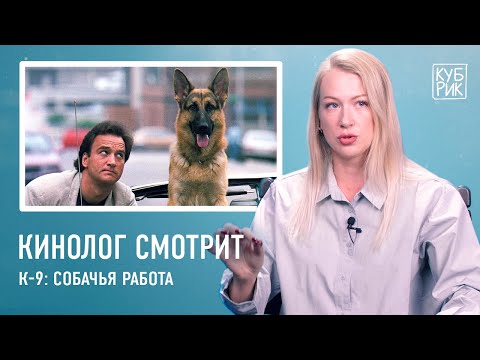 Кинолог смотрит фильмы про собак — «Комиссар Рекс», «К9», «Тёрнер и Хуч», «Бетховен», «Белый Бог»