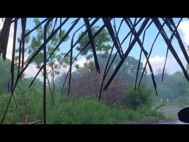 Real rain feeling | village | gobalu lk @in sri lanka🇱🇰 class=