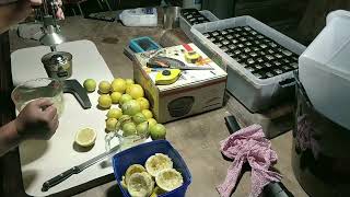 Good Lemon Lime etc Juicer   SOGA Commercial Manual Juicer Review