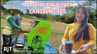 Tes Perontok Padi Pakai Blower, Hasil Super Bersih