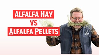 Alfalfa Hay vs Alfalfa Pellets