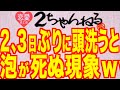 2,3日ぶりに頭洗うとシャンプーの泡が死ぬ現象ｗｗｗｗｗｗｗｗｗｗｗｗ