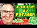 Les légumes à planter en juin 2021 au potager ! Et il y en a beaucoup ! 😉