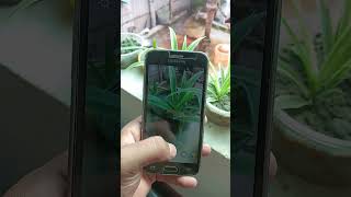 Legend J2 Camera Review In 2026 #shorts #viral #reels
