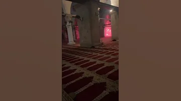 هذا هو حال اولى القبلتين يا امة المليارين فلسطين القدس فيديوهات 