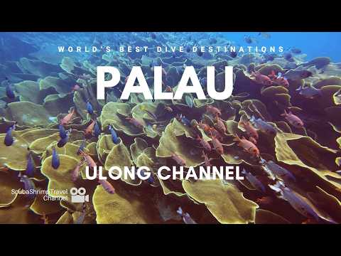 ULONG  CHANNEL | PALAU 2026