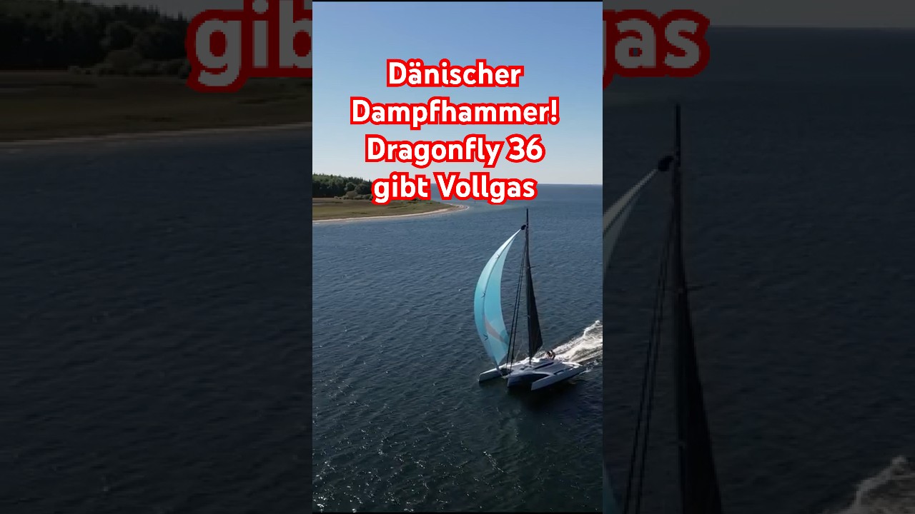 ⁣Dänischer Dampfhammer! Dragonfly 36 - #trimaran #dragonfly  #sailing
