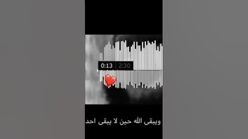 القارئ: ماهر المعيقلي، سورة: عبس