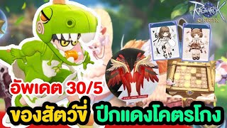 ปีกแดงสุดโกง !! + อัพเดตของสัตว์ขี่ + รูนส้มสายถึก | Ragnarok Origin