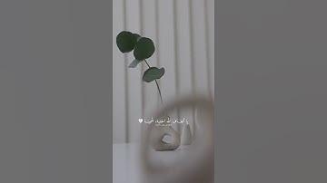 تلاوة هادئة🪴 بصوت القارئ (سعد اوزيت) ارح سمعك🤍🤍.