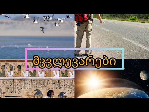 მკვლევარები