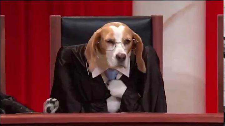 John Oliver - Last Week Tonight (Supreme Court Version Dog)