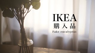 【IKEA購入品】本当に買ってよかったインテリア雑貨｜カインズ購入品｜賃貸インテリア ｜賃貸暮らし｜観葉植物｜ vlog65