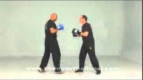 JEET KUNE DO  SPARRING by Tim Tackett