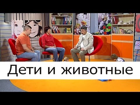 Дети и животные Школа доктора Комаровского