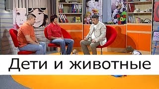 Дети и животные - Школа доктора Комаровского(Несомненно, домашние животные - это наши друзья. Но как быть, например, с глистами? Или вдруг аллергия? Совмес..., 2013-10-15T13:34:58.000Z)