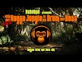 Who Put Back Ragga Jungle in my Drum and Bass - Reggae Drum & Bass Mix