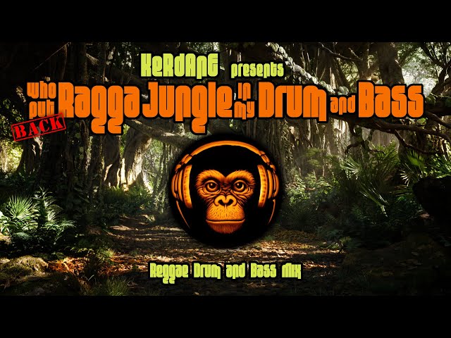 Who Put Back Ragga Jungle in my Drum and Bass - Reggae Drum & Bass Mix class=