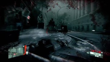 Crysis 2 Weapon Bug