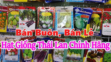 bán hạt giống nhập khẩu thái lan nguyên bao bì cho bà con ai cần , liên hệ 0978426812
