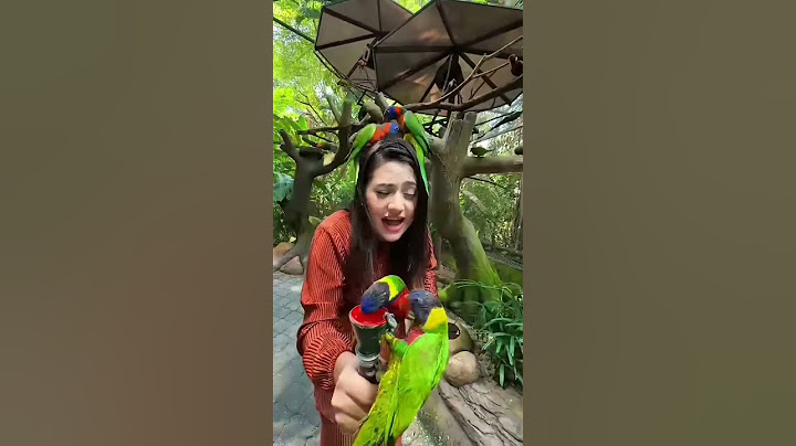 রিতুর বান্ধবীরা চলে আসছে 🦜Malaysia Parrot 😍 #short