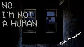 No. I'm not a Human #1 Пиво, телефон, чайный гриб и гадалка