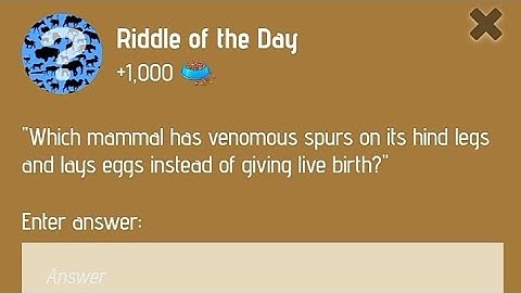 Riddle of the Day Today | 17-18 December Riddle of the Day Zoo | Zoo Riddle of the Day 17 December