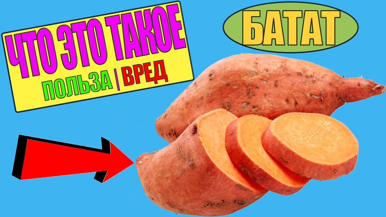 БАТАТ – ЧТО ЭТО ТАКОЕ. ПОЛЬЗА И ВРЕД БАТАТА НА ОРГАНИЗМ