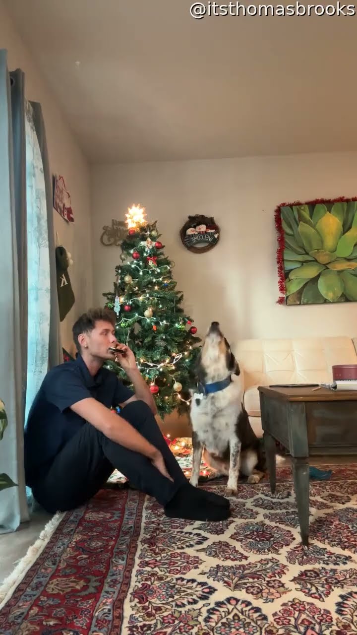 Dog Howls Along With Harmonica || ViralHog