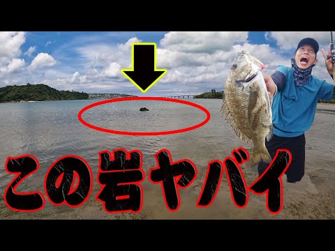 A hidden spot where fish only appear for two hours at low tide has