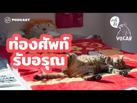 ท่องศัพท์รับอรุณ ให้คุณเริ่มเช้าวันใหม่อย่างสดใส กับ 20 คำนี้ #MorningVocab | คำนี้ดี EP.466