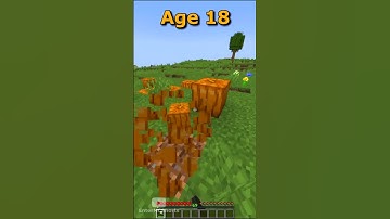 Minecraft Traps At Every Age (World