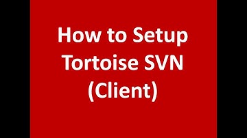 How to Set up Tortoise Client