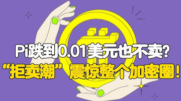 Pi Network：Pi跌到0.01美元也不卖？“拒卖潮”震惊整个加密圈！