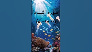 #اكسبلور #sheikhmansouralsalimi #تيك_توك #القرآن_الكريم #دويتو #duet #راحة_نفسية #لايك #سورة_النساء
