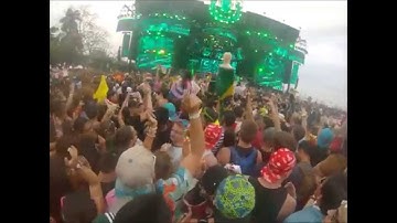 Steve Aoki Ultra 2015