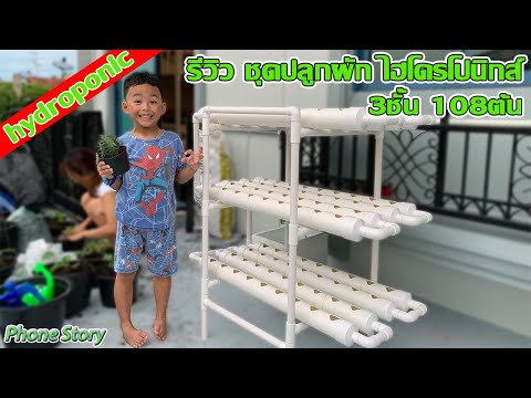 ปลูกผักEP.1| รีวิว ชุดปลูกผัก ไฮโดรโปนิกส์ 3ชั้น 108ต้น (Hydrohobby, Hydroponics, H2O Hydro Garden)