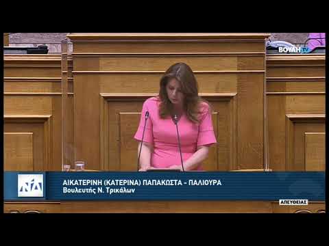 K. Παπακώστα | Ομιλία για το Νομοσχέδιο του Υπ. Παιδείας: Νέοι Ορίζοντες στα ΑΕΙ, στις 14.07.2022.