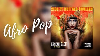 2ice Ft  Buffalo Souljah – Erykah Badu