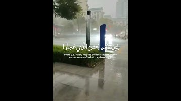 ياسر الدوسري - سورة الروم #allah #allahuakbar #quran #الحمدلله #قرآن #لا_اله_الا_الله #قران_كريم